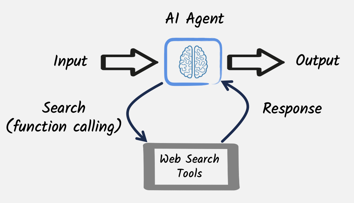 An agent using an external web search tool