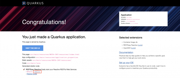 Quarkus framework page