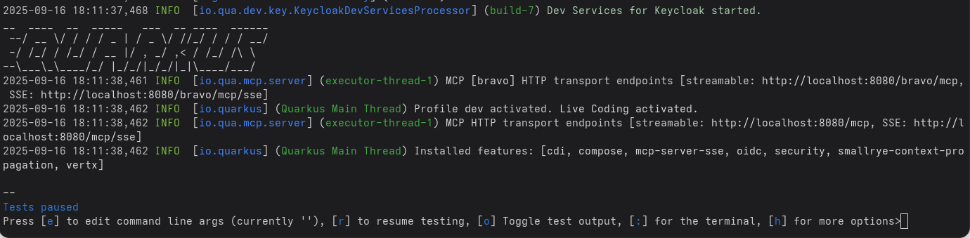 MCP server dev mode