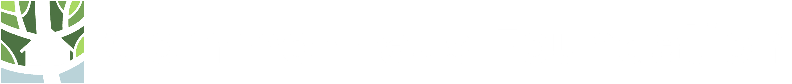 CommonHaus logo