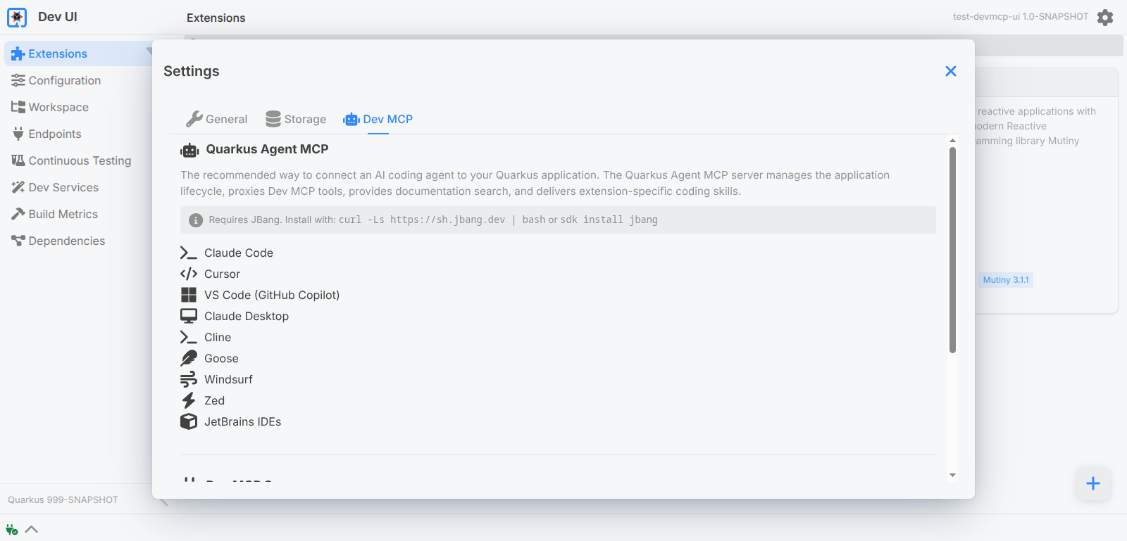 Dev MCP Settings